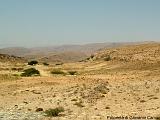 YEMEN (06) - Wadi Daw'an - 10